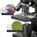 National Geographic 40-1280x microscope with smartphone holder