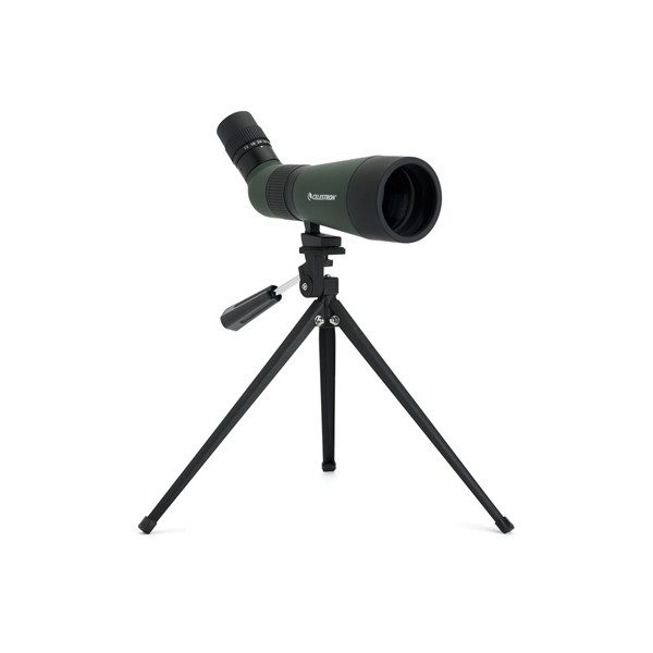 Celestron LandScout 12-36x60 spotting scope