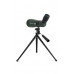 Celestron LandScout 12-36x60 spotting scope