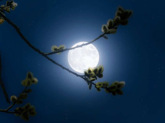 Two Full Moons in A Single Month
